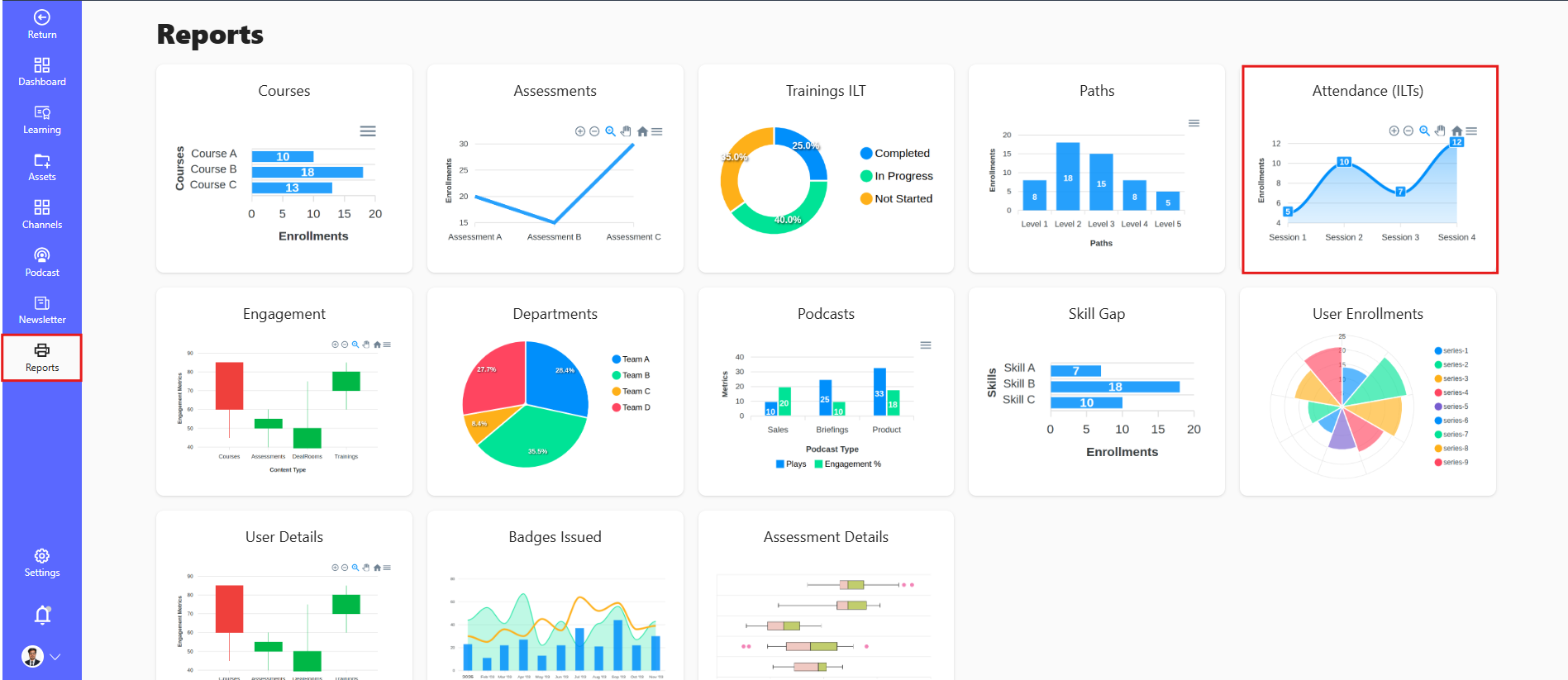 Assessment Report